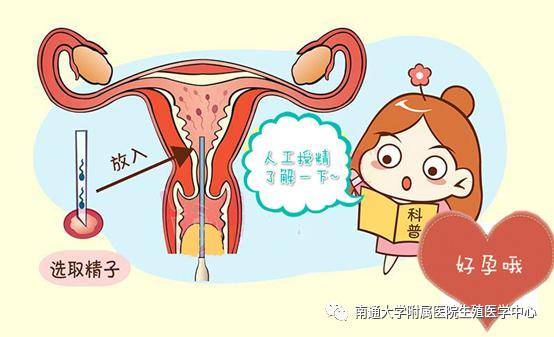 益智游戏