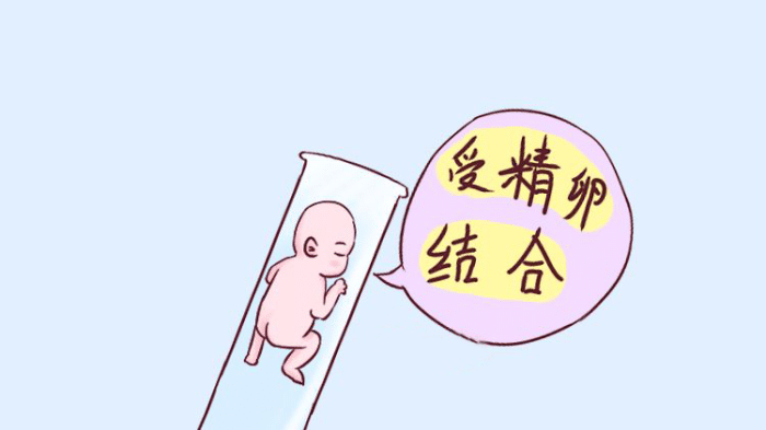 益智电脑游戏
