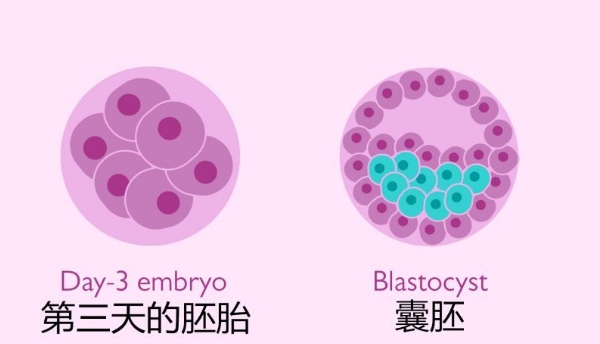 留守儿童心理健康教育