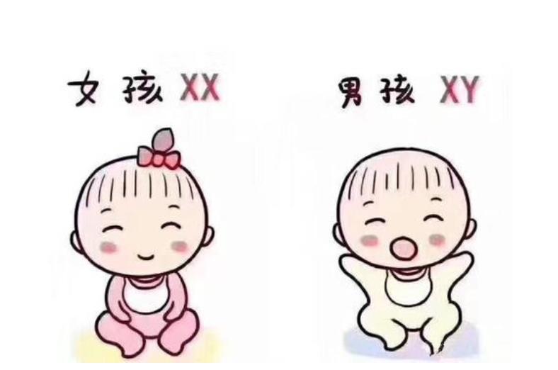 盘锦供卵代怀