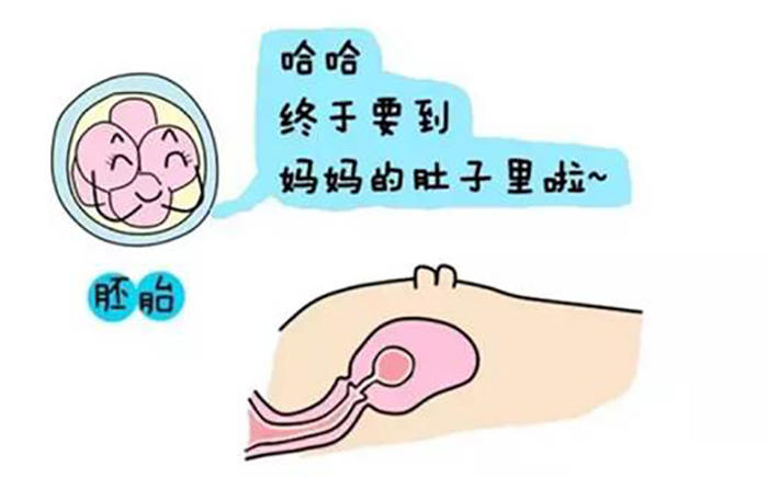 男性不孕不育