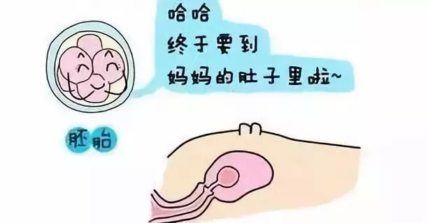 盐城捐卵公司电话