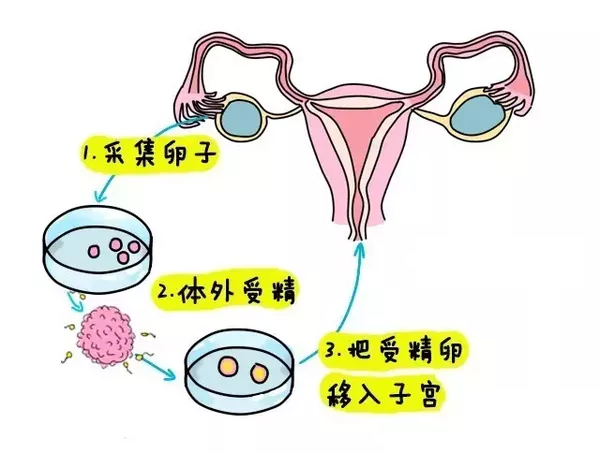 益智区教案