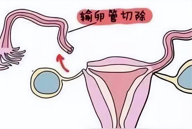 男科