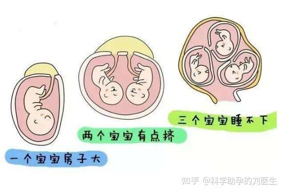 男子不育