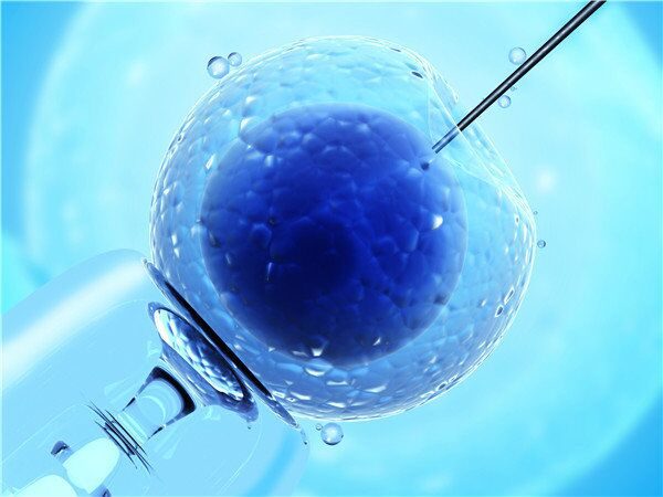 男性精子检查